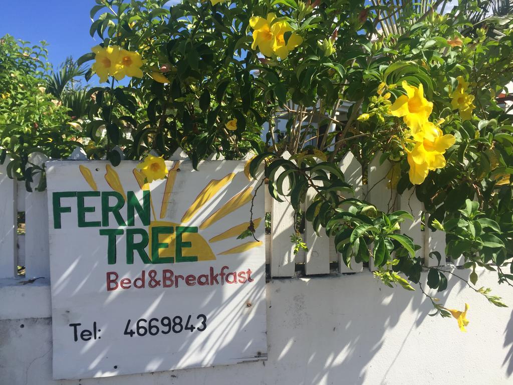 Fern Tree Bed And Breakfast Frigate Bay Exterior photo