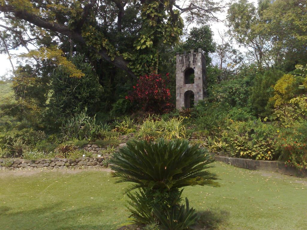 Fern Tree Bed And Breakfast Frigate Bay Exterior photo